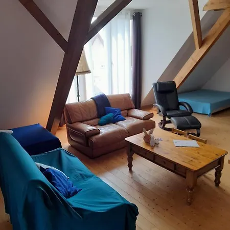 Apigite68, Proche Route Des Vins, Vosges, Colmar Et Non Loin D'europa-park! *