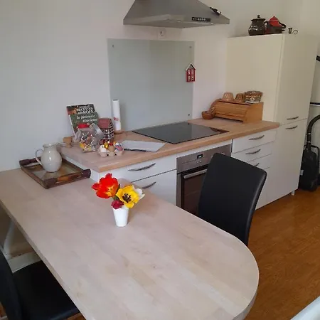 Apigite68, Proche Route Des Vins, Vosges, Colmar Et Non Loin D'europa-park! 別荘