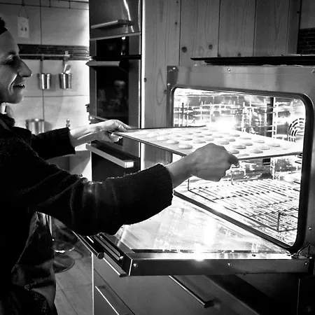 Apigite68, Proche Route Des Vins, Vosges, Colmar Et Non Loin D'europa-park! 別荘