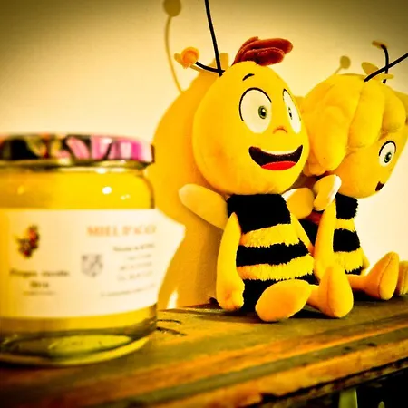 Apigite68, Proche Route Des Vins, Vosges, Colmar Et Non Loin D'europa-park! * オストハイム