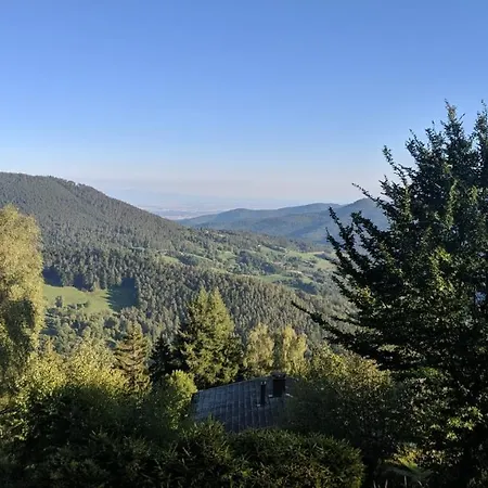 Apigite68, Proche Route Des Vins, Vosges, Colmar Et Non Loin D'europa-park! オストハイム